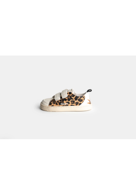 Koops Rafi Leopardo