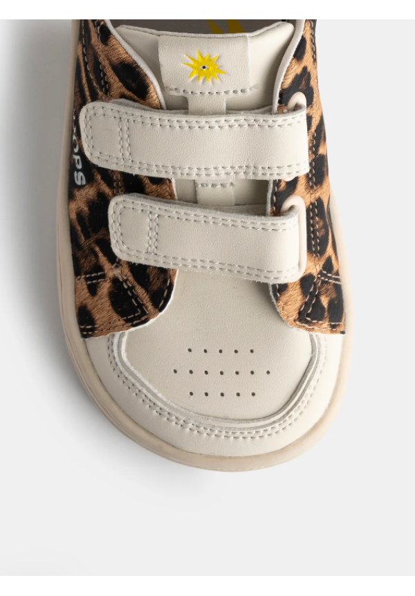 Koops Rafi Leopardo