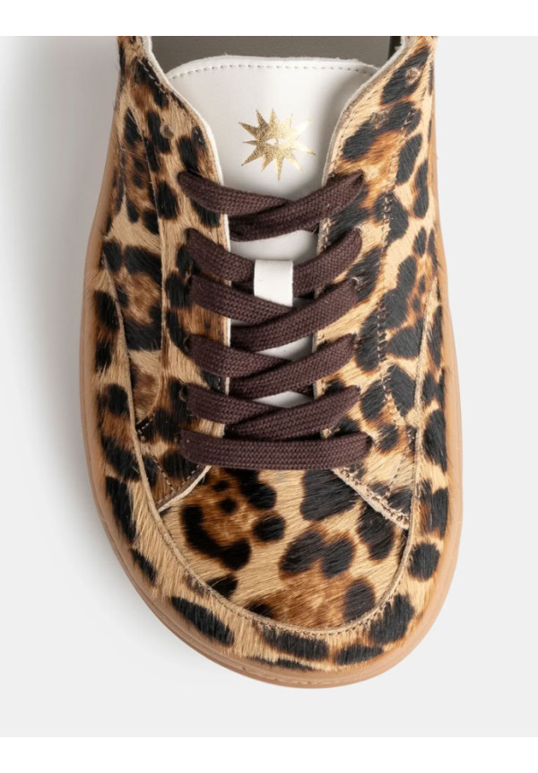 Koops Venan Leopardo