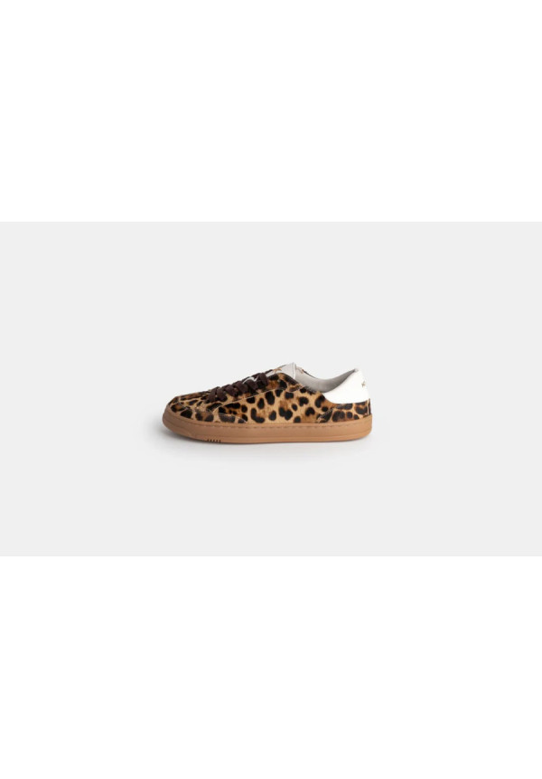 Koops Venan Leopardo