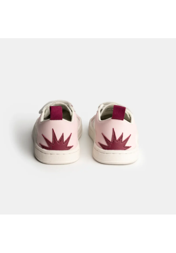 Koops Indi Rosa