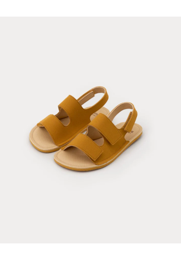 MURIS Rio Mustard