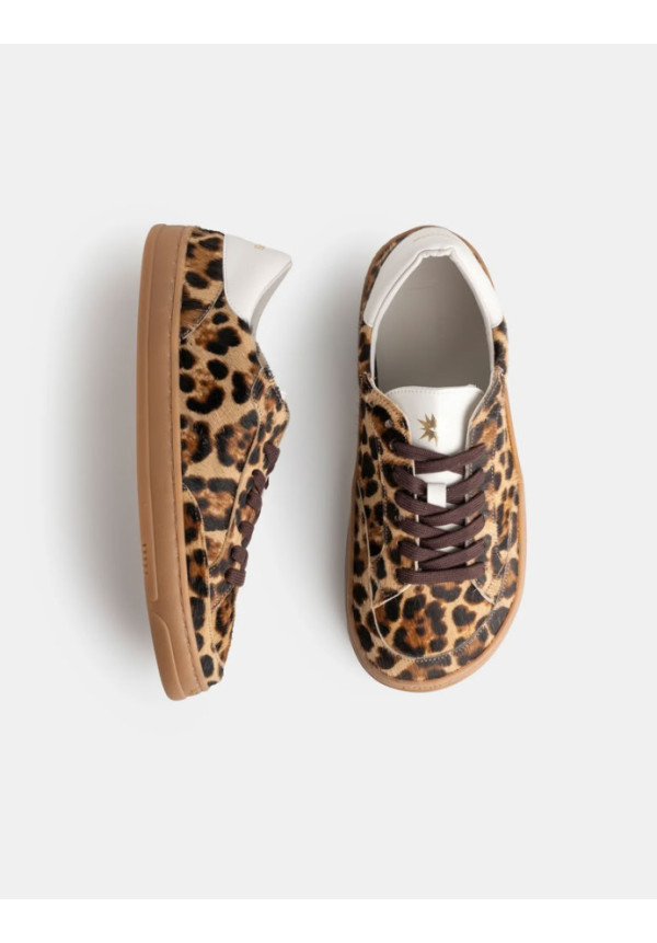 Koops Venan Leopardo