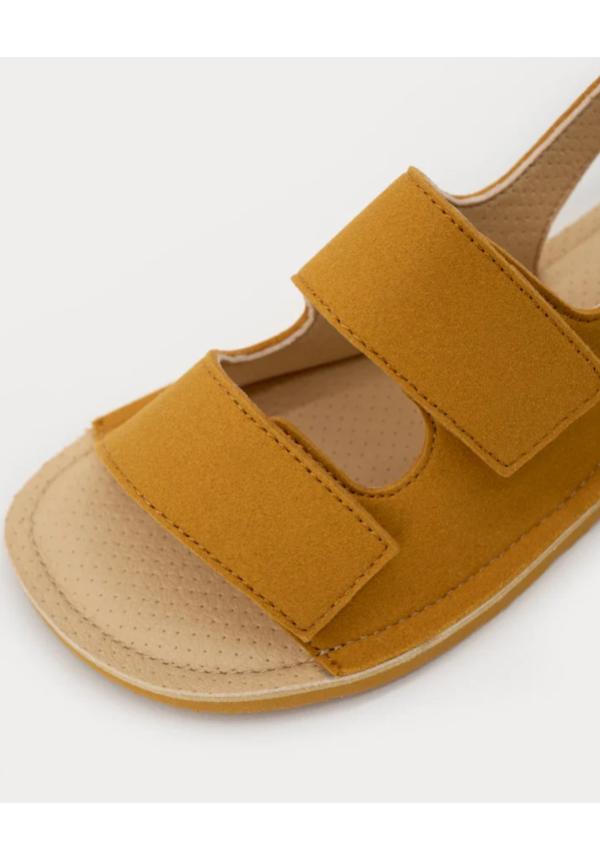 MURIS Rio Mustard