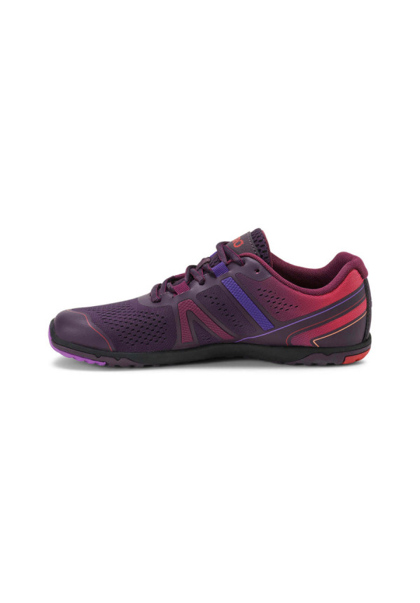 Xero HFS II Gradient Purple