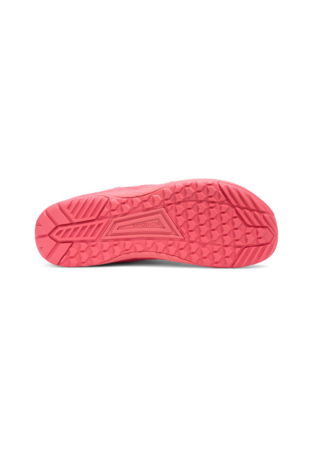 Xero HFS II Raspberry