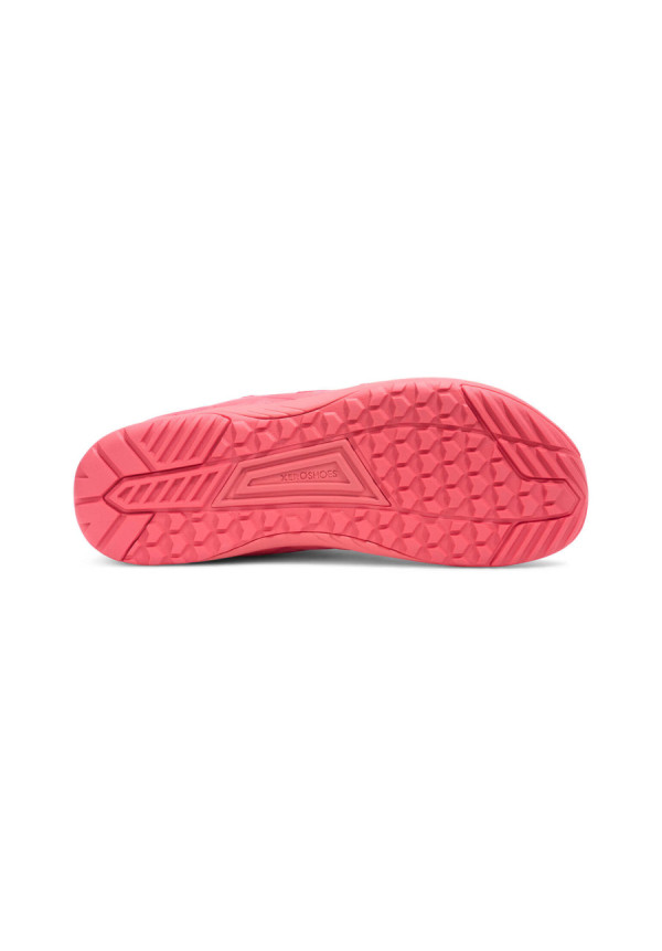Xero HFS II Raspberry