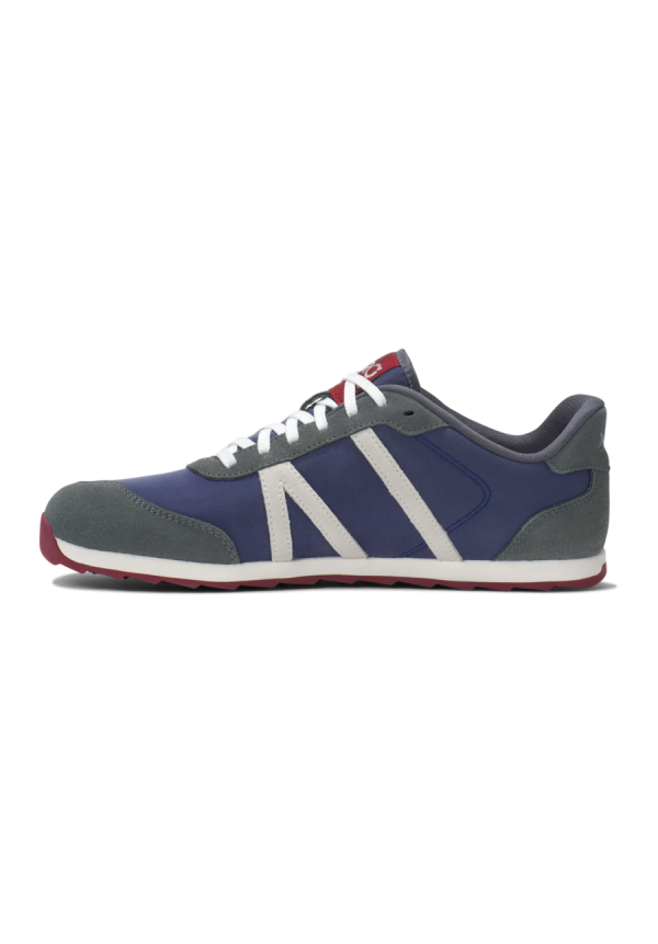 Xero Wynn Blue/Grey/Red