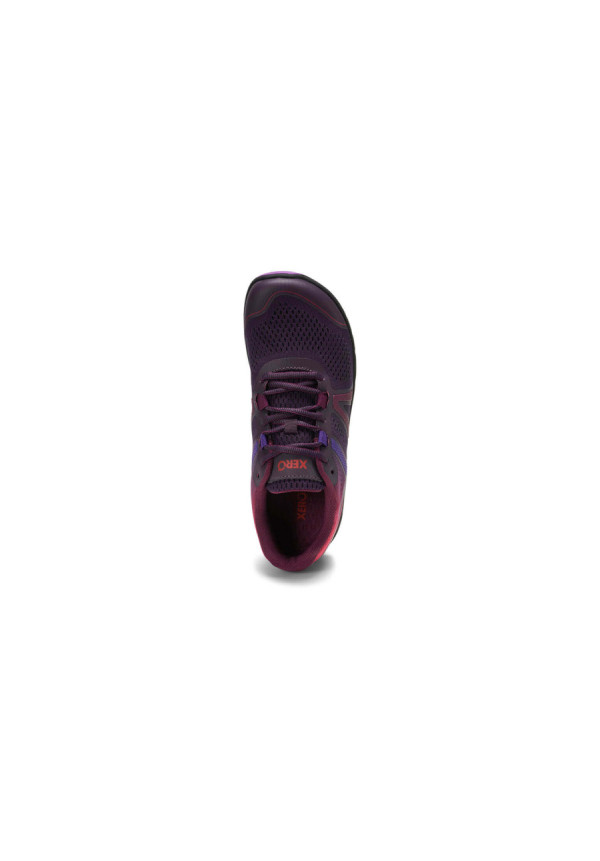 Xero HFS II Gradient Purple