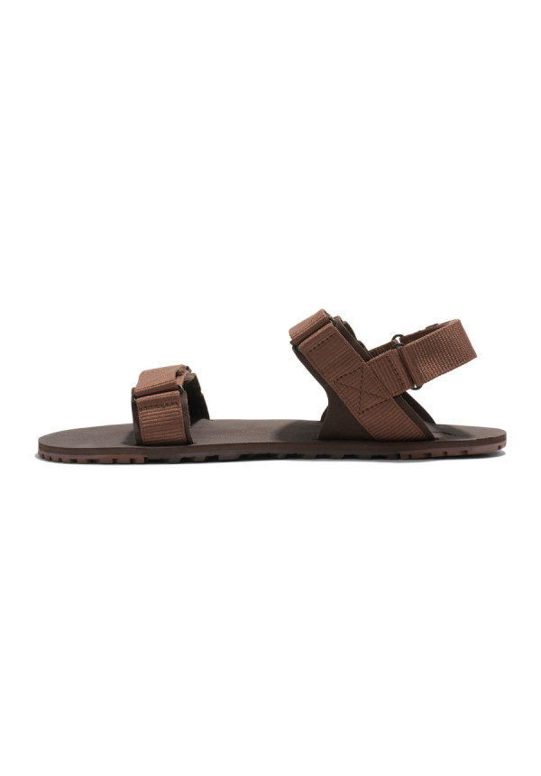 Xero D-Trail Brown