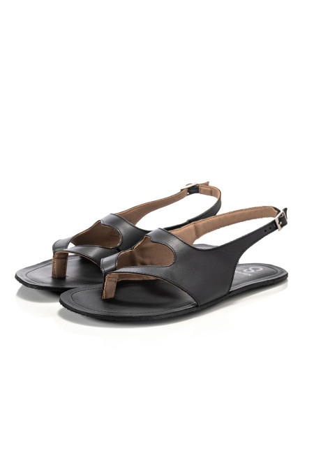 Shapen Mai 2.0 Black